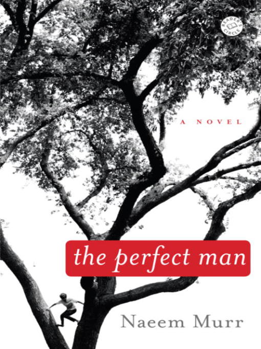 Cover image for The Perfect Man